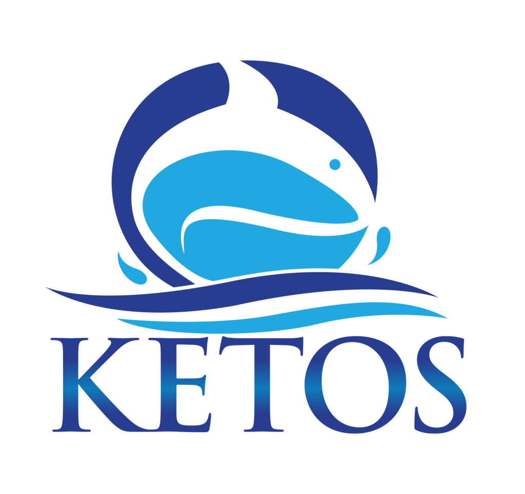 KETOS Logo Colored