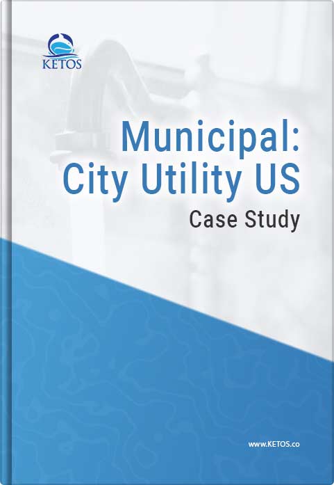 Municipalcityutility