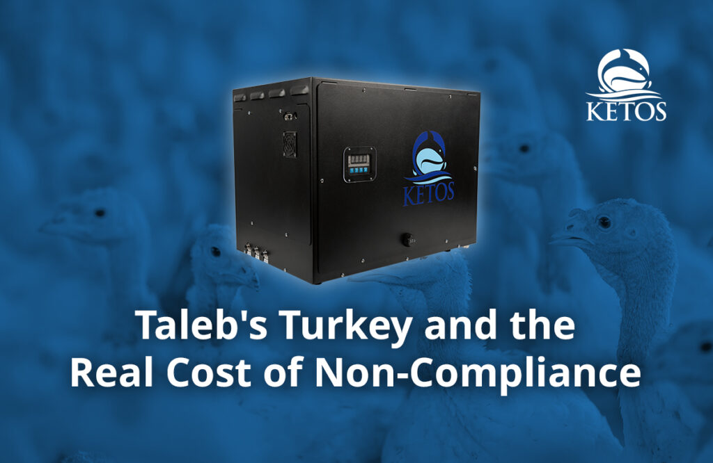 Talebs Turkey and the Real Cost of Non Compliance