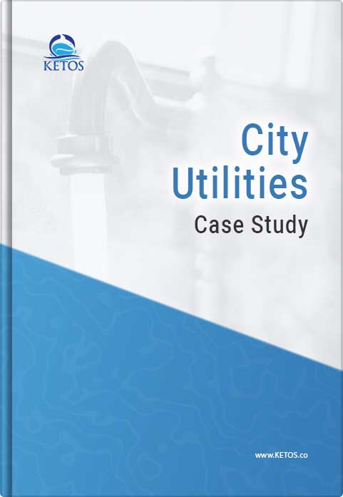 city utilities case study