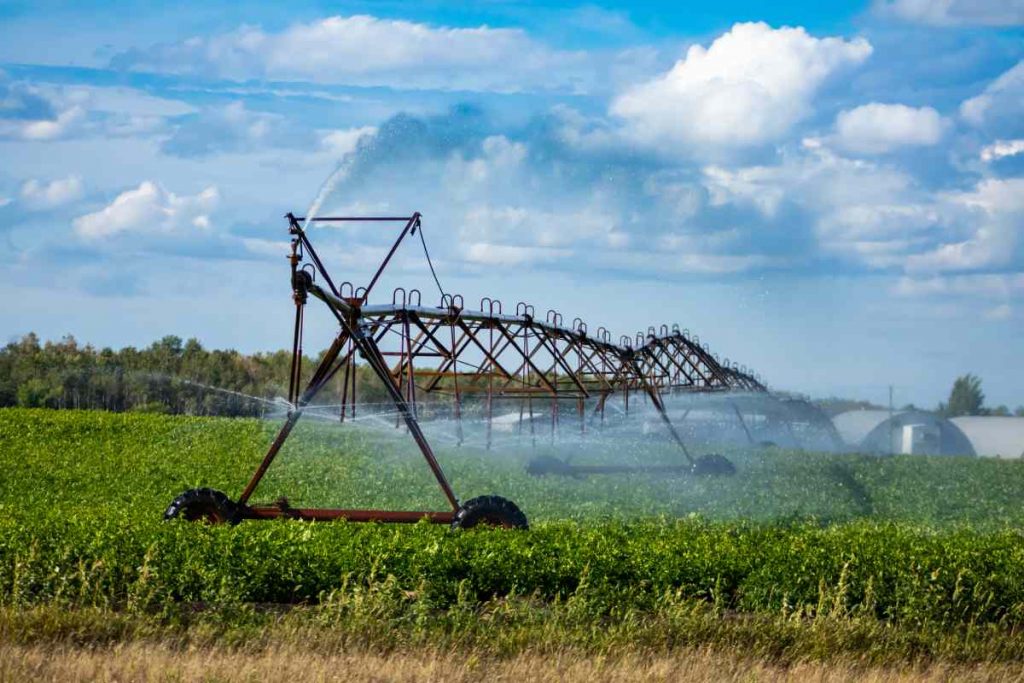 Water Quality and Process Efficiency at Traditional Agriculture