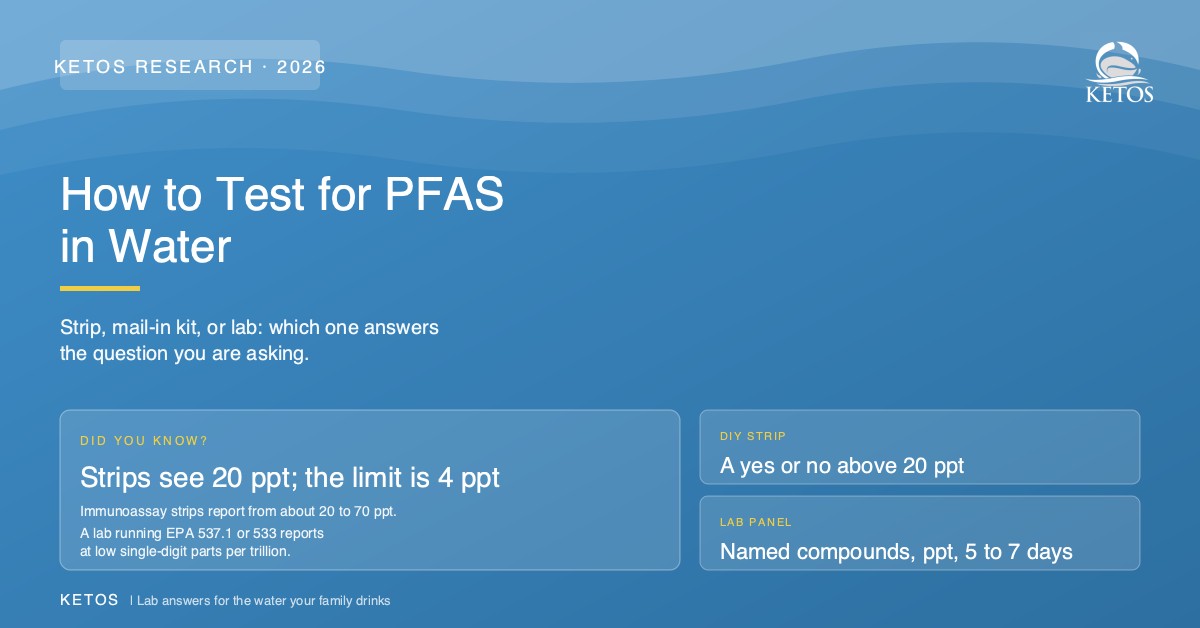 How to test for PFAS in water, comparing test strips, mail-in kits, and lab panels