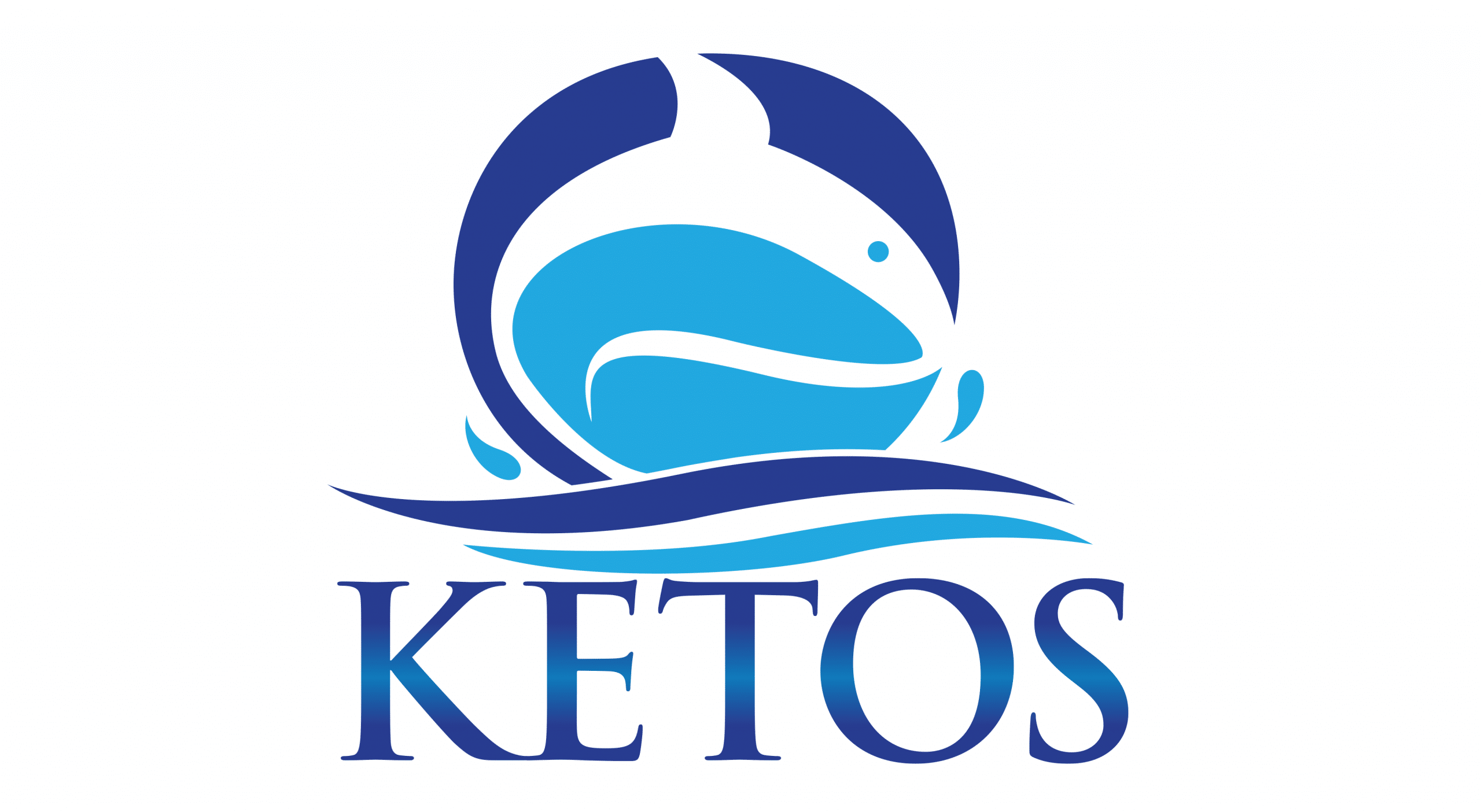 Ketos, Inc logo