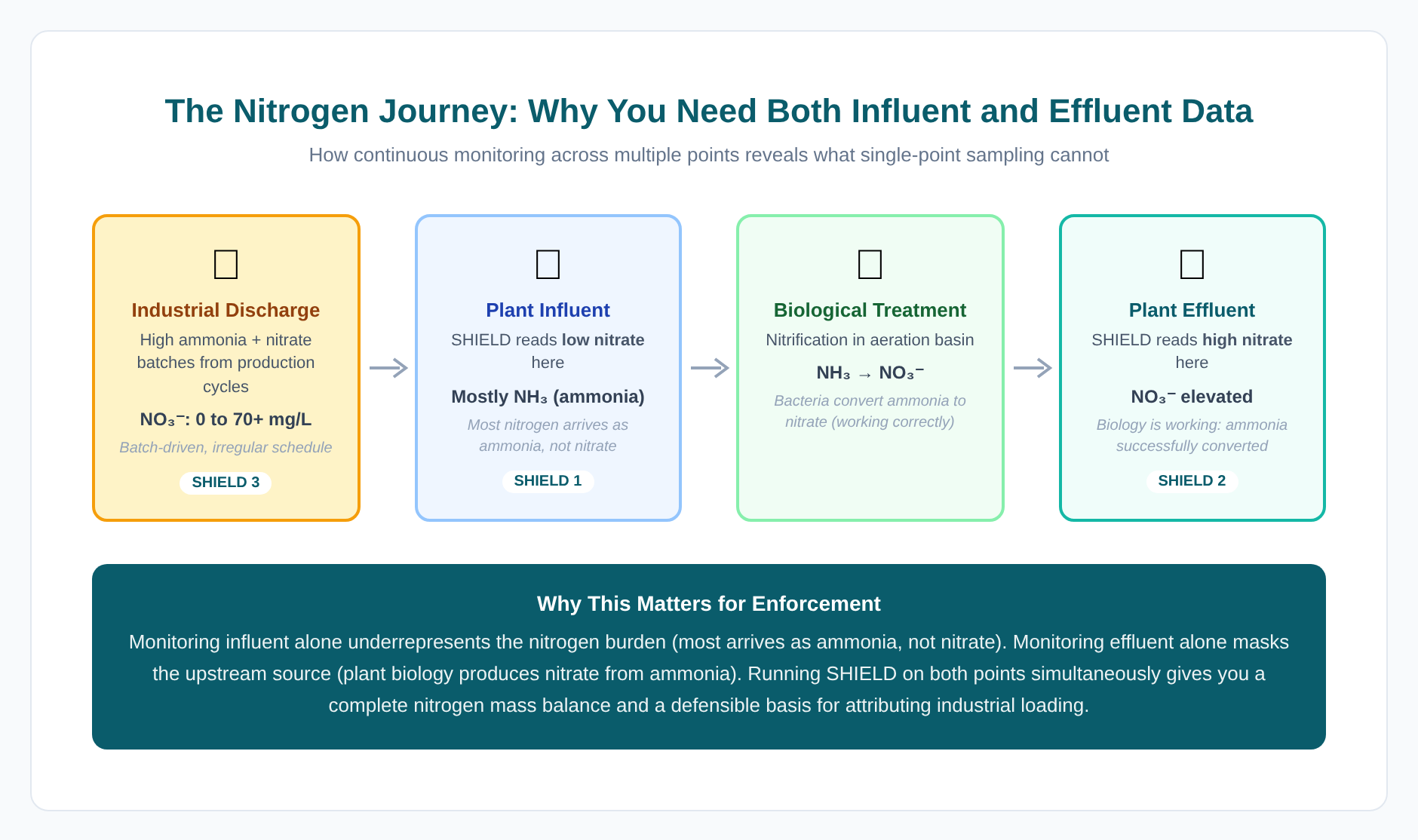 The Nitrogen Journey: NH3 to NO3