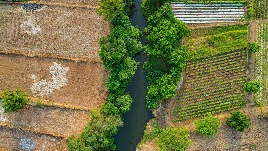 top view of agricultural fields with a water body 2025 02 02 21 08 03 utc