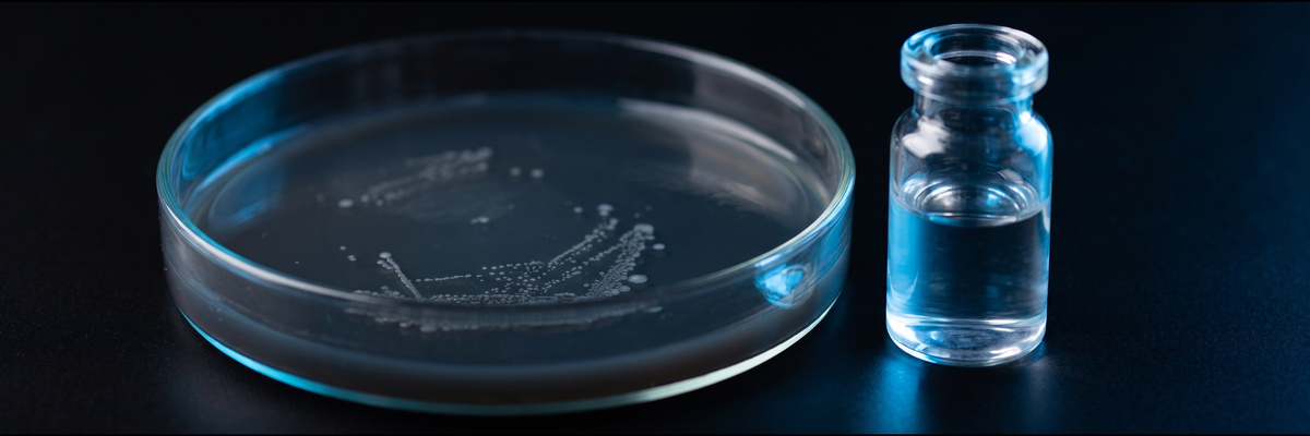 Petri dish with bacterial colonies beside a vial of water under blue light