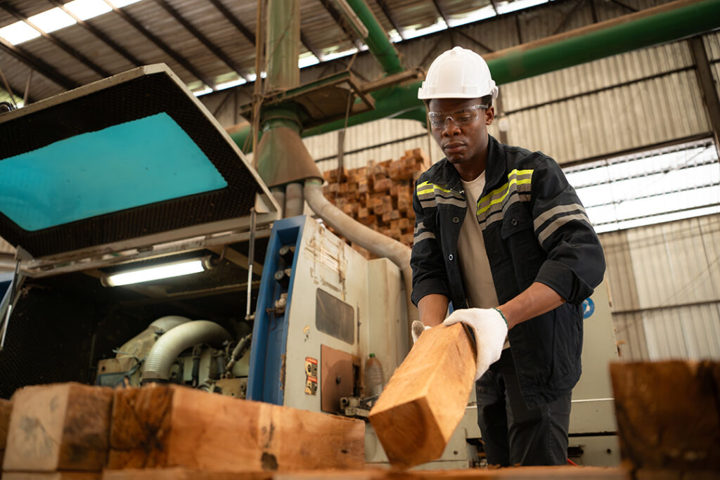 working with wood sawing and cutting machines to p 2025 01 07 06 11 47 utc
