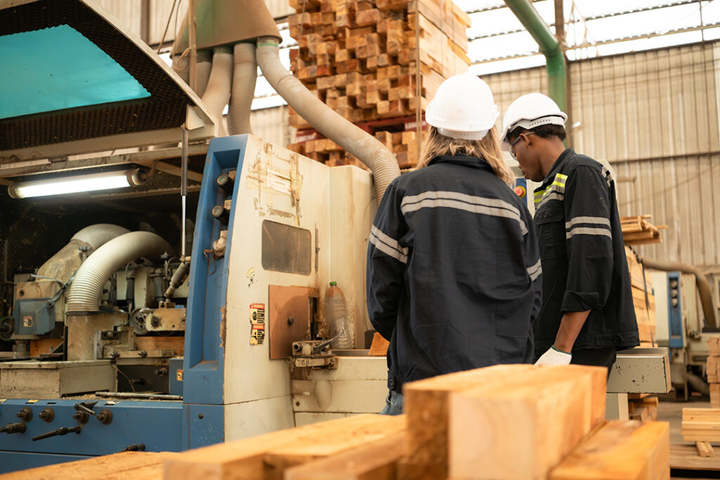 working with wood sawing and cutting machines to p 2025 01 08 23 25 32 utc